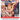 DVD_HDS__0004_the-donald-sleeve-copy-2